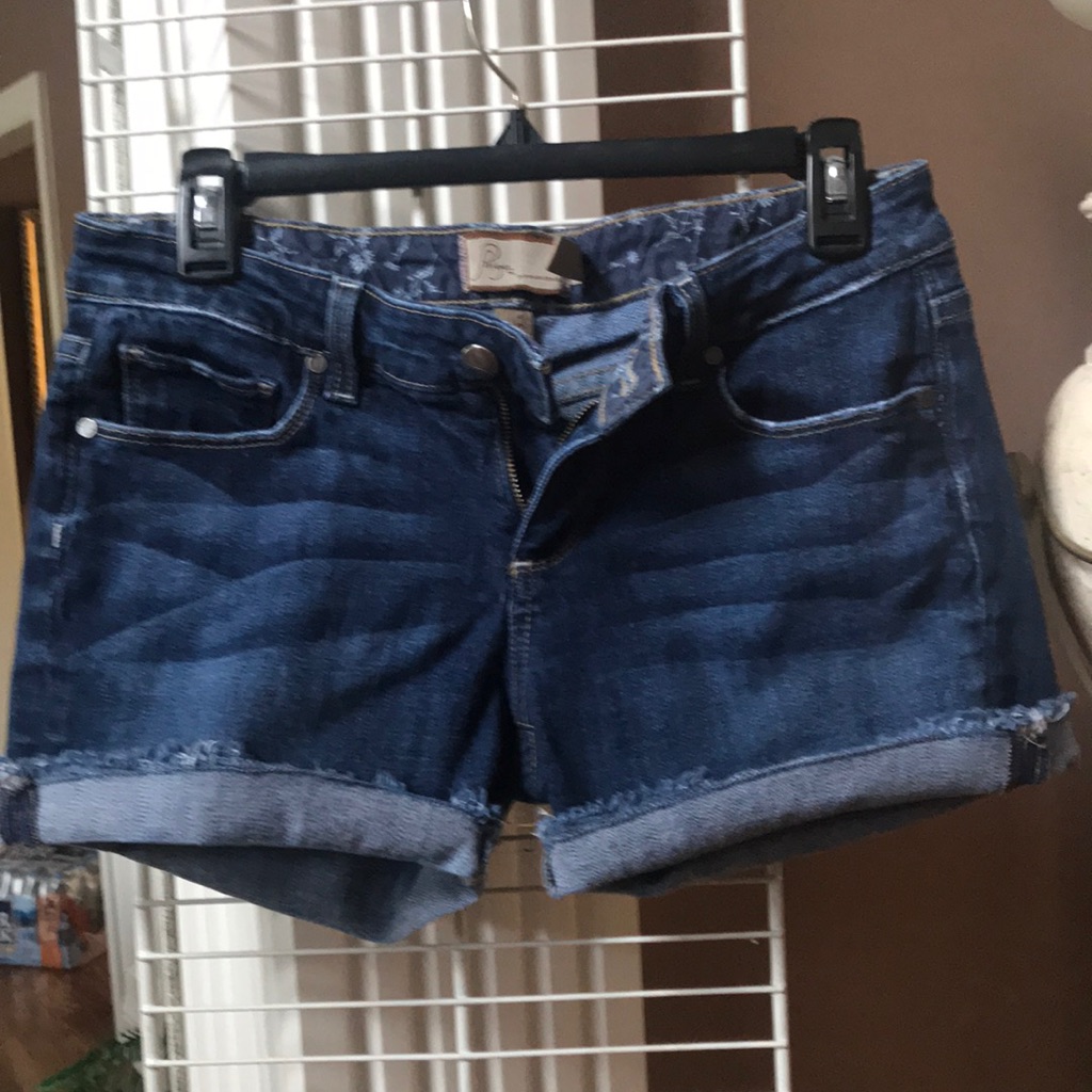 Paige Brand Shorts Size 26